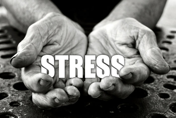 Fighting Stress and Anxiety